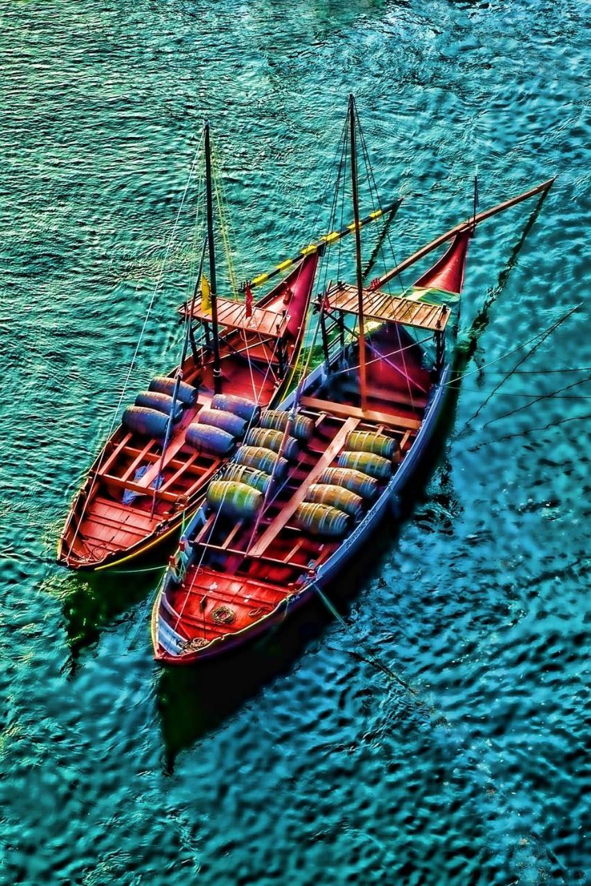 Hc Villa Douro Vila Nova de Gaia Dış mekan fotoğraf